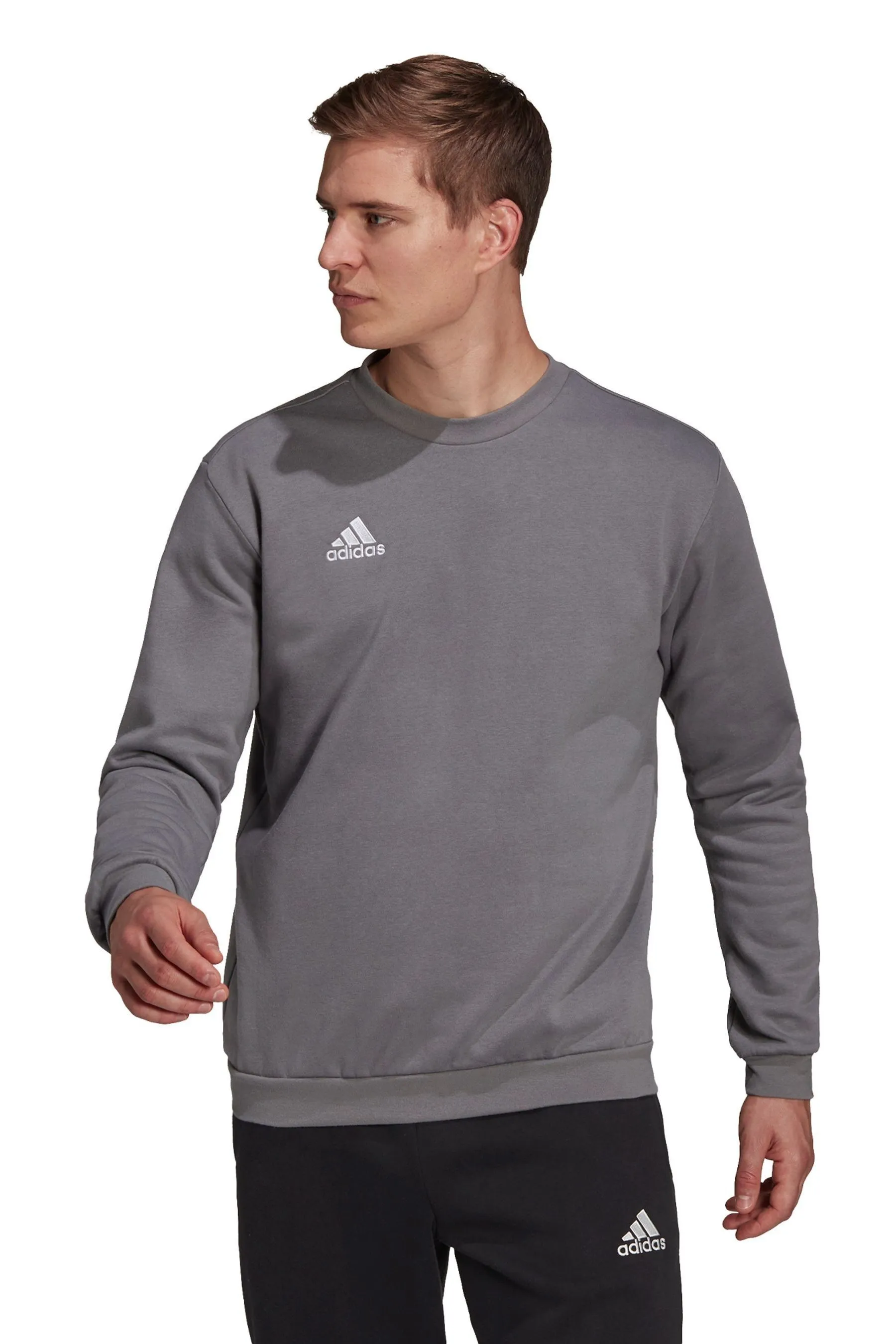 adidas - Entrada - Felpa