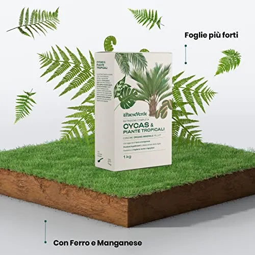 Concime Piante Verdi Tropicali 1kg - Fertilizzante Piante Verdi Naturale Per Cycas Con Azoto Organico, Fosforo E Potassio Per Fo
