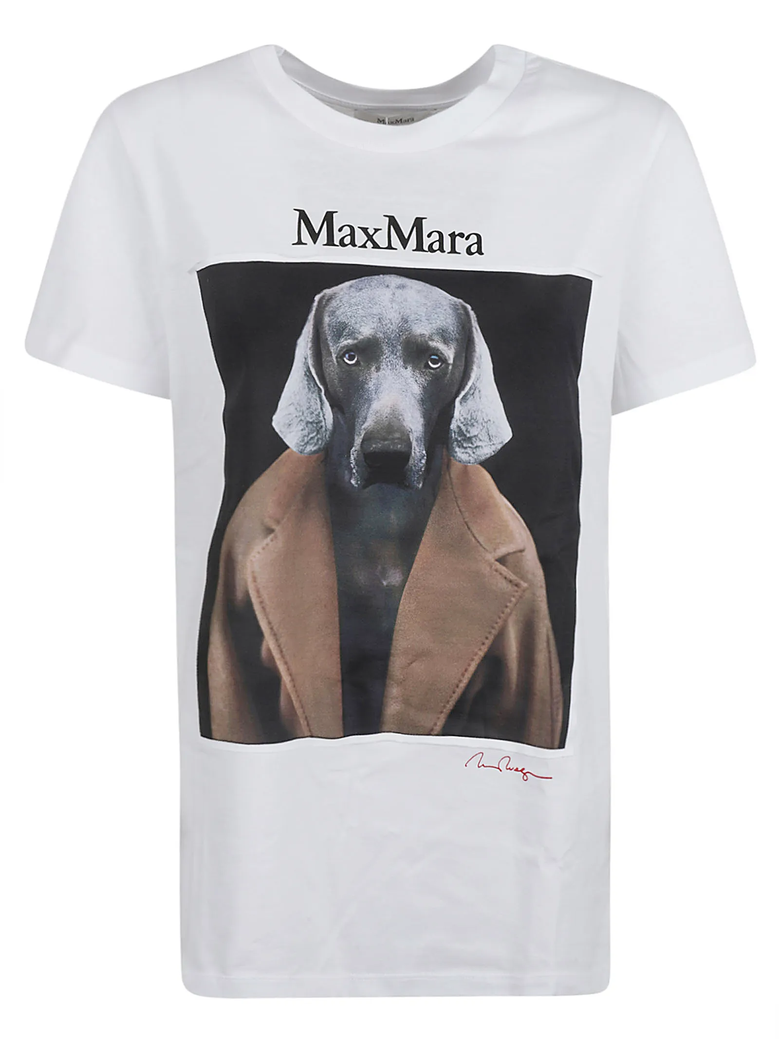 MAX MARACIPRIA CAMEL