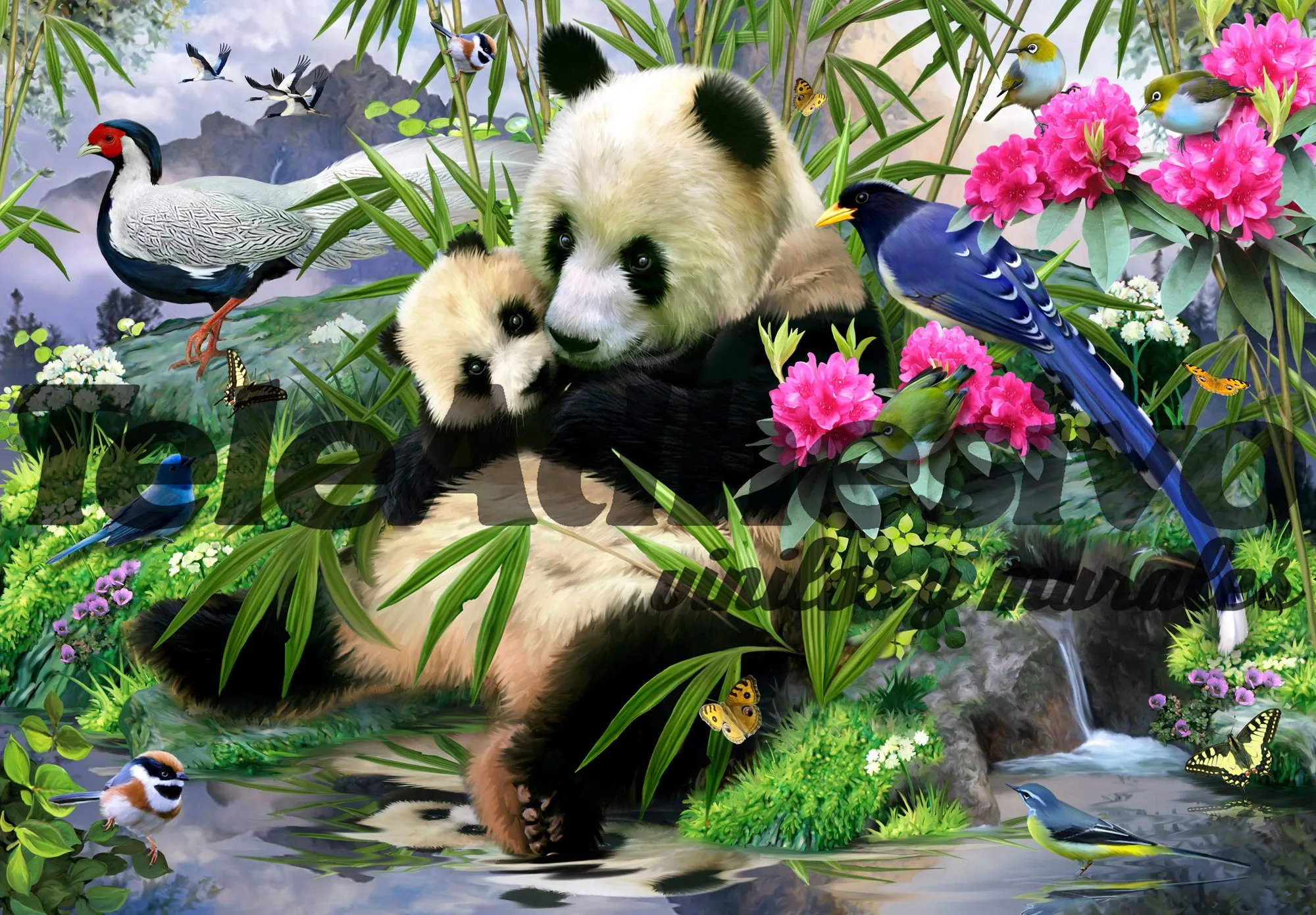Orso panda - FOTOMURALI