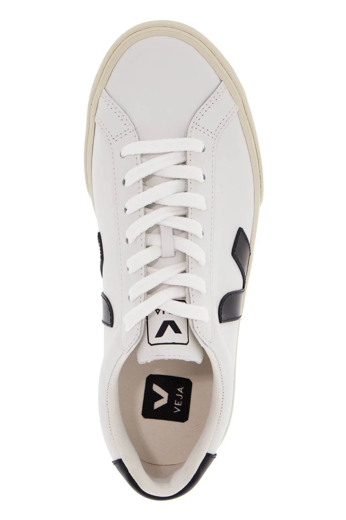 Sneakers Esplar